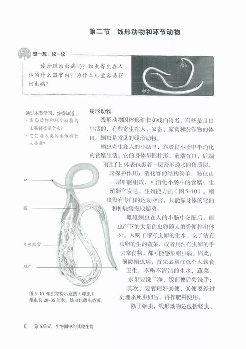 暑期高效預(yù)習(xí)指南 初中生物上冊第一章知識(shí)精粹與學(xué)習(xí)規(guī)劃